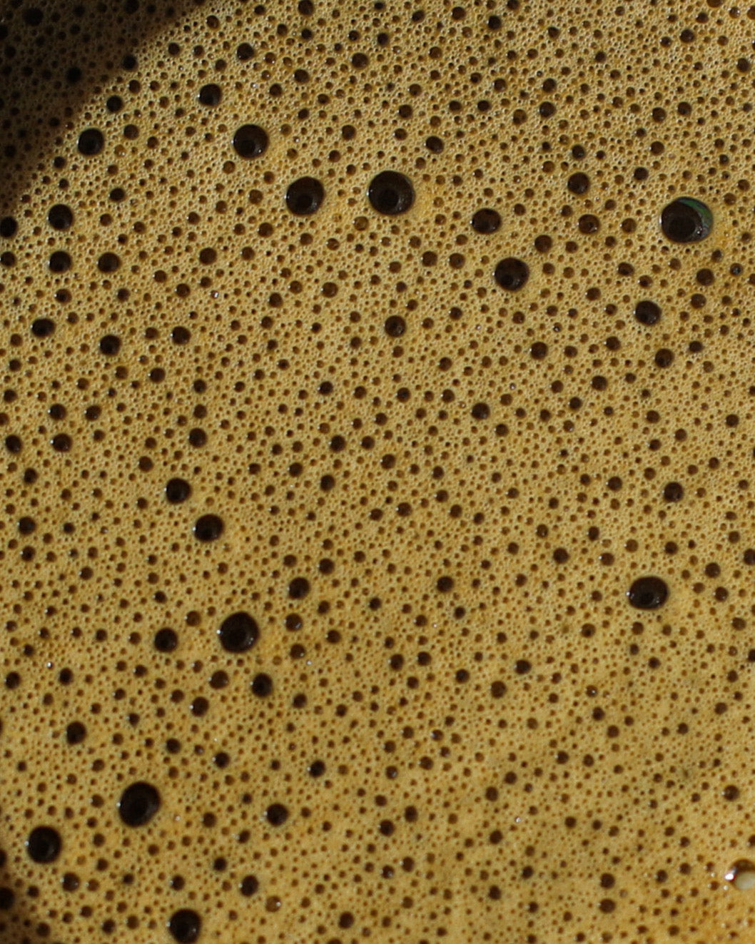 Hojicha Ceremonial (80G)