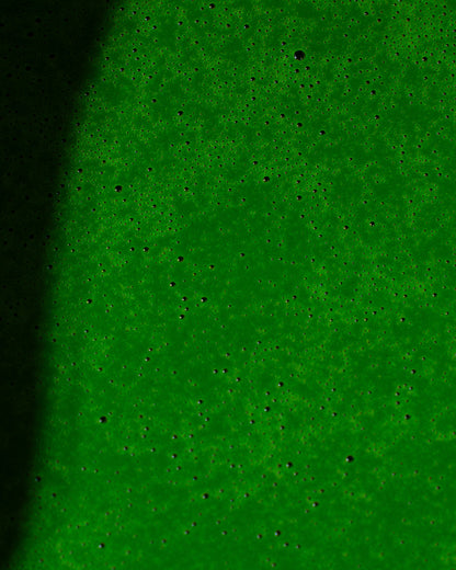 Matcha Okumidori 20g - Edición Limitada