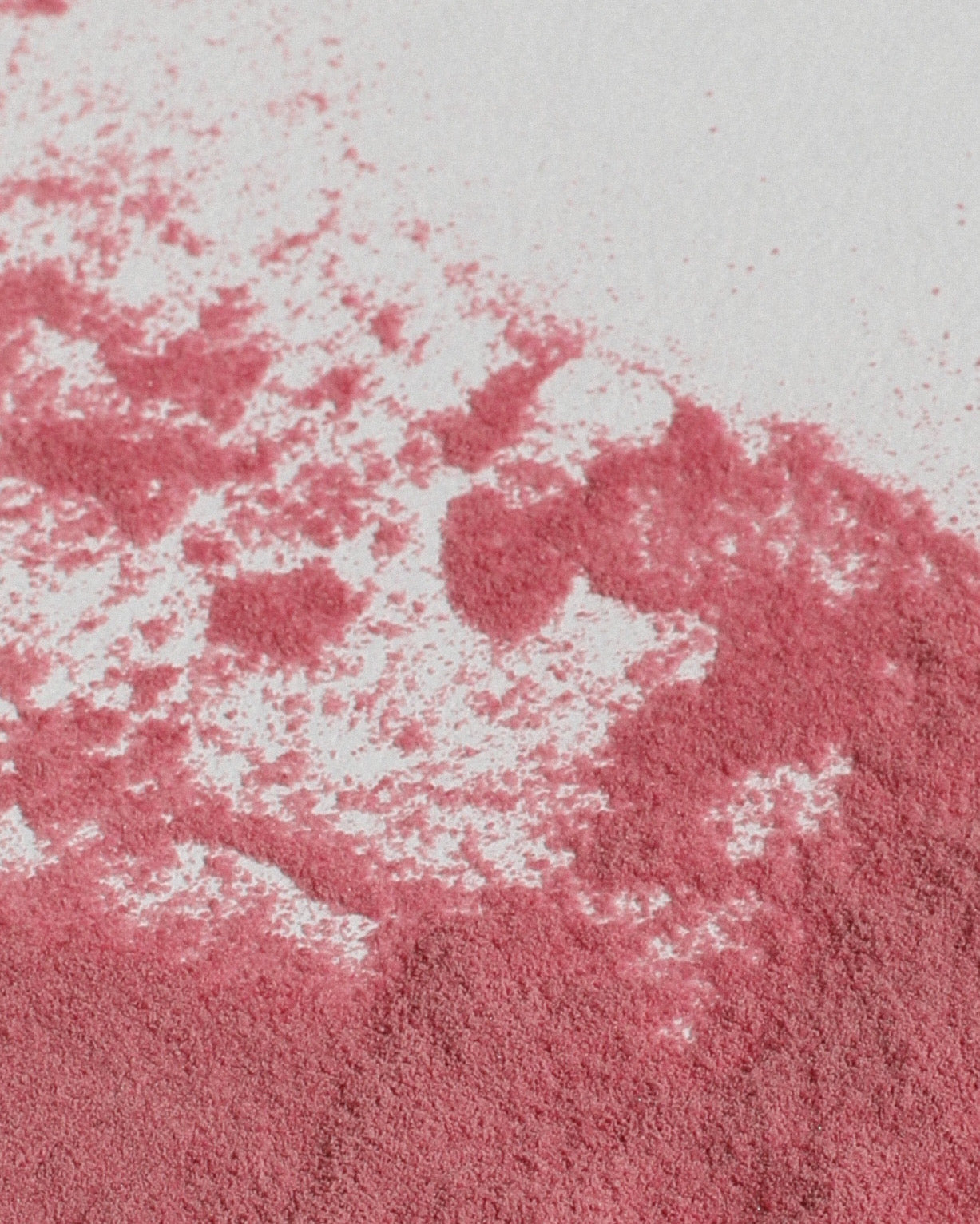 Sakura Powder - Maruyama, Kyoto